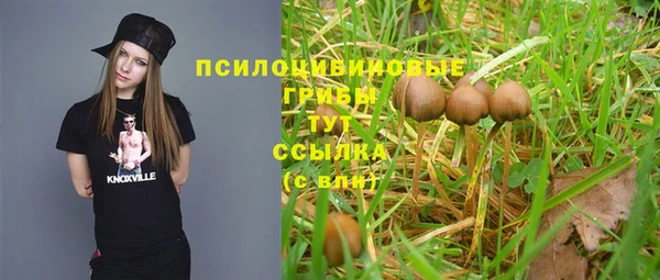 трава Краснотурьинск