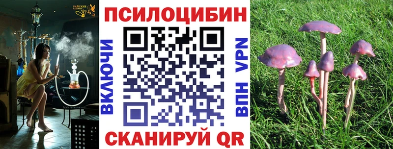 Галлюциногенные грибы Cubensis  Нариманов 